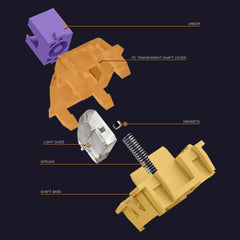 Darmoshark TOP75 Trio-mode  Kailh Magnetic Switch RGB gaming Keyboard With Top Mount structure & TFT display