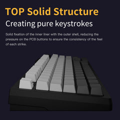 Darmoshark TOP75 Trio-mode  Kailh Magnetic Switch RGB gaming Keyboard With Top Mount structure & TFT display